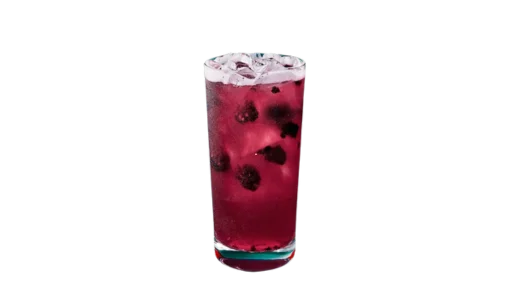 Blackberry Sage Lemonade Refresher